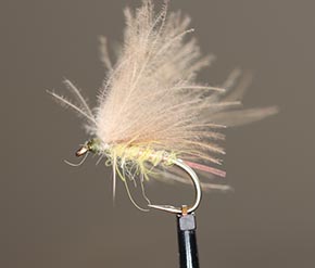 Flies by By Bart Reitsma Fly Dresser tying at The Irish Fly Fair 2023