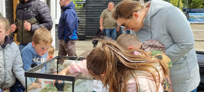 Children and Adults Entomology at The Antrim Fly Fair 25th & 26th June 2022