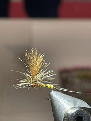 Fly Tied by Paul Vekemans