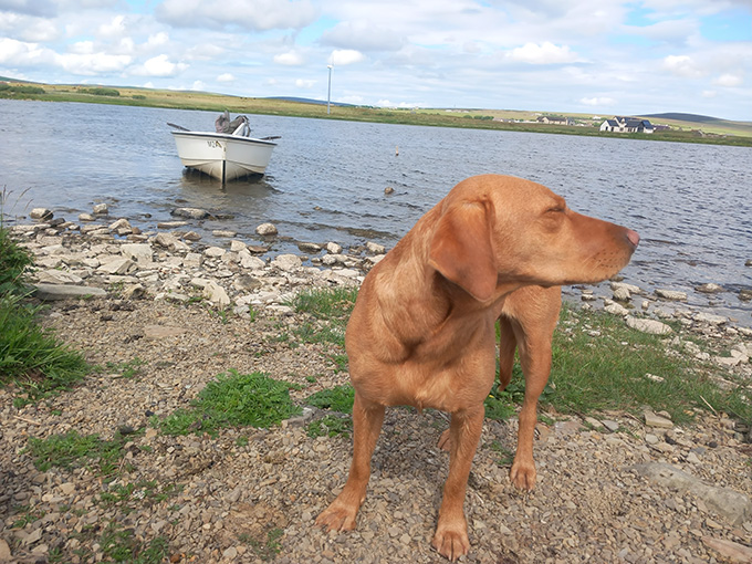 Allan Liddle Fly Fishing & Fly Tying Magazine at The Irish Fly Fair 2025