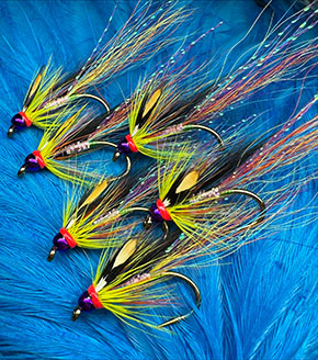 Flies by Andrew Laverty Fly Dresser tying at The Irish Fly Fair 2025