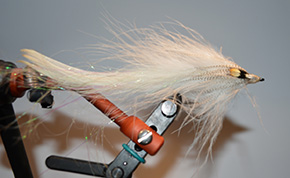 Fly by Ashley Strutt England