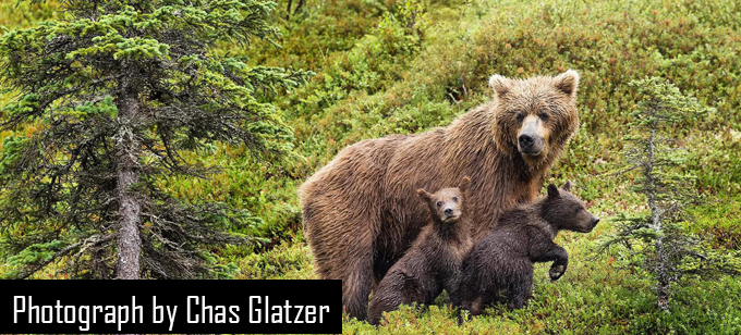 Wayne McGee Talk  at The Irish Fly Fair 2024