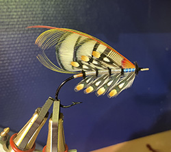 Fly by Bent Arild Mathiesen