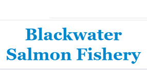 Glenda Powell Blackwater Salmon Fishery at The Irish Fly Fair 2023