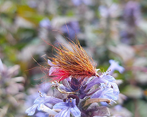 Ed Ford Fly Dresser tying at The Irish Fly Fair 2024
