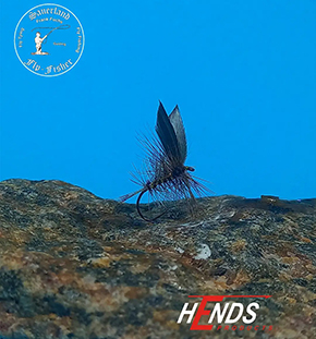 Wickhams Fancy Tied by Frank Fuchs German Fly Dresser at the Irish Fly Fair 2025