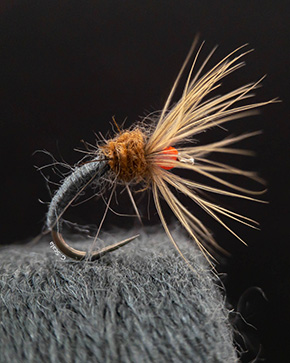 Fly tied by Guido Scala Italy 2025