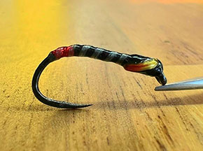 Fly by Jack Westbury England