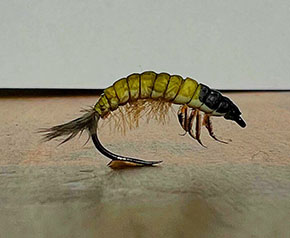 Fly by Jack Westbury England