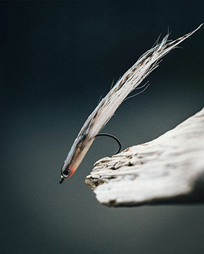 Flatwing Surf Candy by Fly Dresser John Maduro