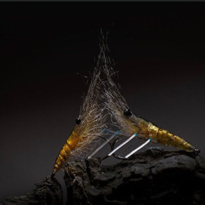 Fly Dresser John Maduro Shrimps