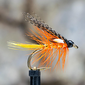 Flies by Robert MacDonald-Lewis Fly Dresser tying at The Irish Fly Fair 2024