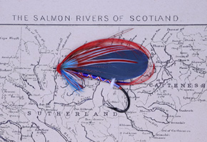 Tri-Color Majesty Fly by Satoshi Yamamoto Montana, USA