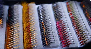 Fly by Stephen Smalley England