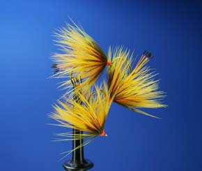 Fly by Stephen Smalley England