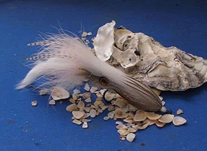 Stoyan Filipov Fly Dresser at The Irish Fly Fair 2025